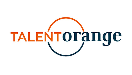 TalentOrange Logotipo después del relanzamiento del sitio web